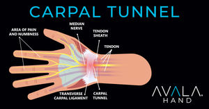 Image post by @avalahealth on Facebook