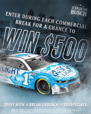 Image post by @BuschBeer on Twitter