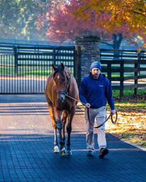 Image post by @coolmoreamerica on Instagram