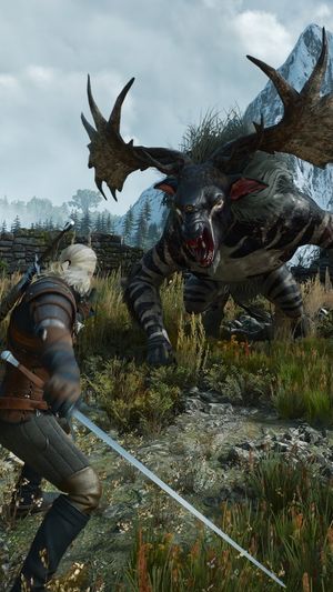 Video post by @thewitcher on Instagram