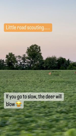 Video post by @thehuntingchallenge on Instagram
