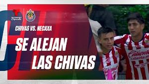 Video post by @deportes on YouTube