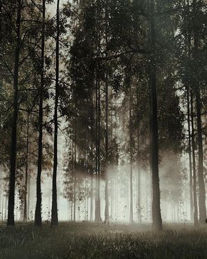 Image post by @heerataak on Instagram