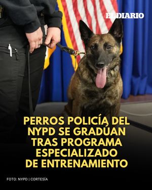 Image post by @eldiariony on Instagram