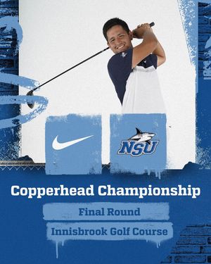 Image post by @nsu_mgolf on Instagram