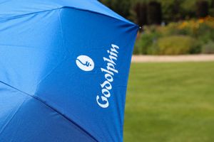 Image post by @godolphin on Instagram