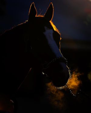 Image post by @michaelmreaves on Instagram