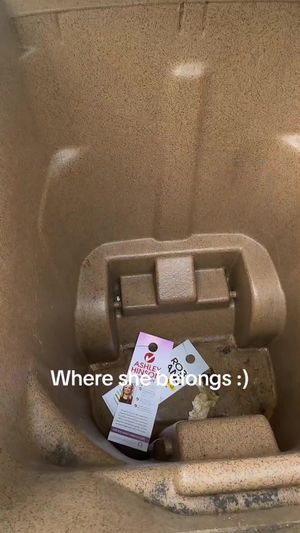Video post by @kate.cassaidy on TikTok