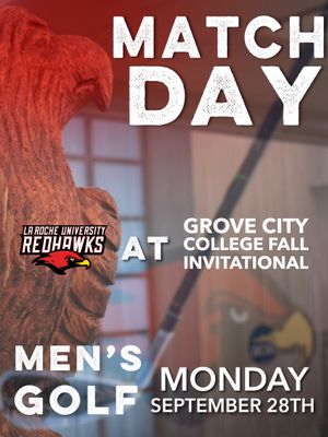 Image post by @larocheredhawks on Instagram