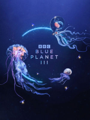 Video post by @bbcearth on TikTok