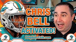Video post by @dolphinstalk on YouTube