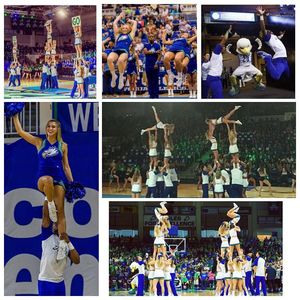 Image post by @fgcu_cheer on Instagram