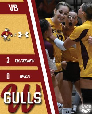 Image post by @suseagulls on Instagram