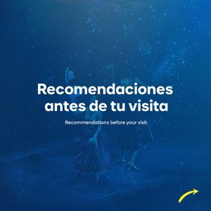 Image post by @ludo.cirquedusoleil on Instagram