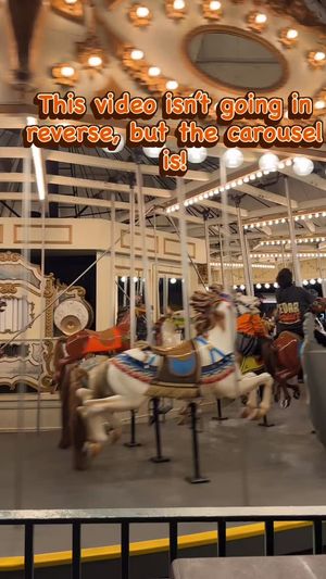 Video post by @Jessheartsthemeparks on Facebook
