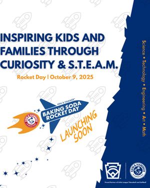 Image post by @LittleLeague on Twitter