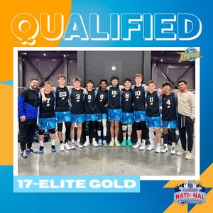 Image post by @mytribevolleyball on Instagram