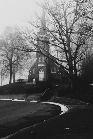 Video post by @thelensdaddy on TikTok