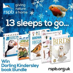 Image post by @rspb on Instagram