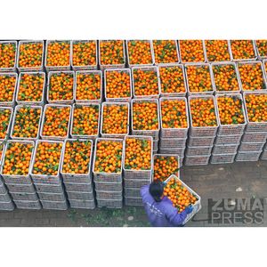 Image post by @zumapress on Instagram