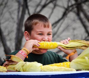 Image post by @michiganstatefair on Instagram