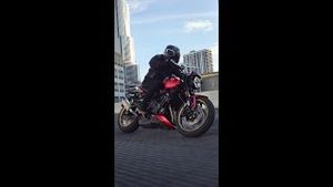 Video post by @officialtriumph on YouTube