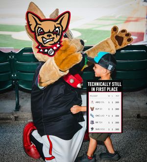 Image post by @chico_epchihuahuas on Instagram