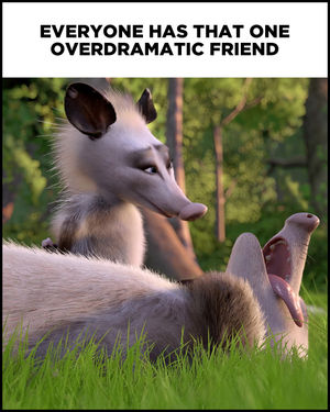 Image post by @dreamworks on Instagram