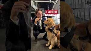Video post by @capitals on YouTube
