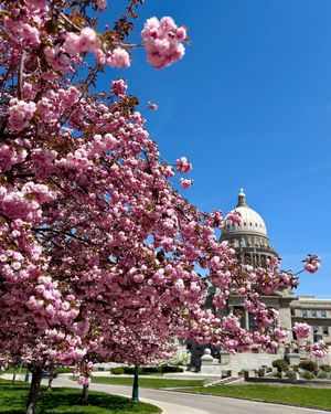 Image post by @thisisboise on Instagram