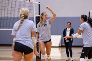 Image post by @elonvb on Instagram