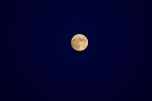 Image post by @photographedbykim on Instagram