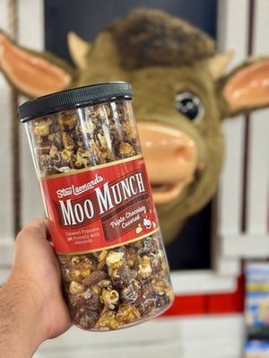 Image post by @stewleonards on Instagram