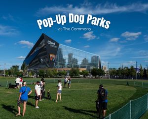 Image post by @mplsdtparks on Instagram