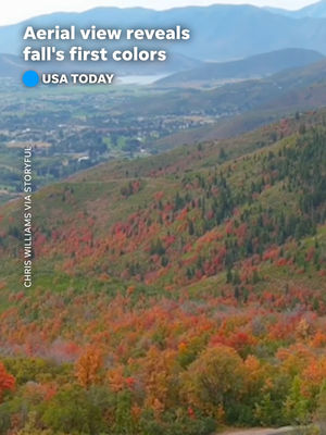 Video post by @usatoday on TikTok