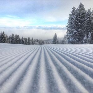 Image post by @beavercreek on Instagram