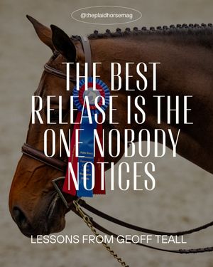 Image post by @theplaidhorsemag on Instagram