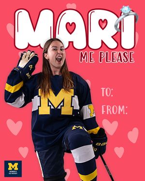 Image post by @umichwhockey on Instagram