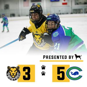 Image post by @TheBostonPride on Twitter