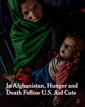 Video post by @nytimes on TikTok