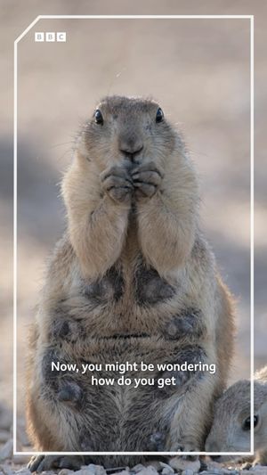 Video post by @bbcearth on Instagram