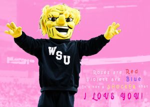 Image post by @Wu_Shock on Twitter