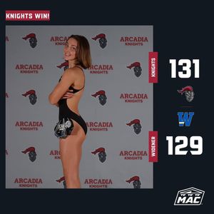Image post by @arcadia_knights on Instagram