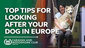 Video post by @caravanandmotorhomeclub on YouTube