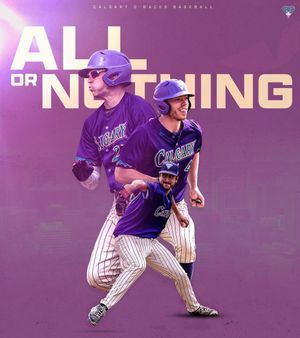 Image post by @dingerbatdbacks on Instagram