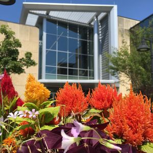 Image post by @kansasstateuniversity on Instagram