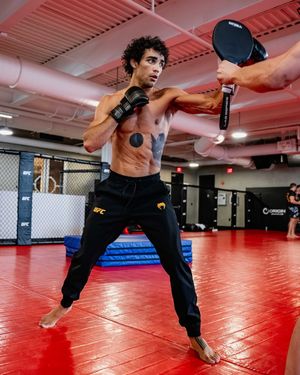 Image post by @ufc on Instagram