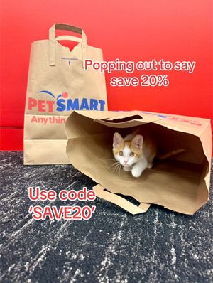 Video post by @petsmart on TikTok