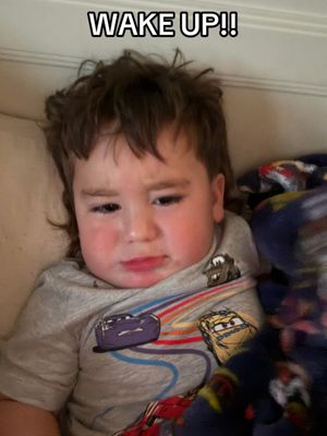Video post by @cmcnelis41 on TikTok