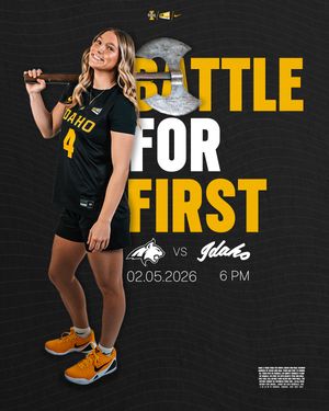 Image post by @vandalswbb on Instagram